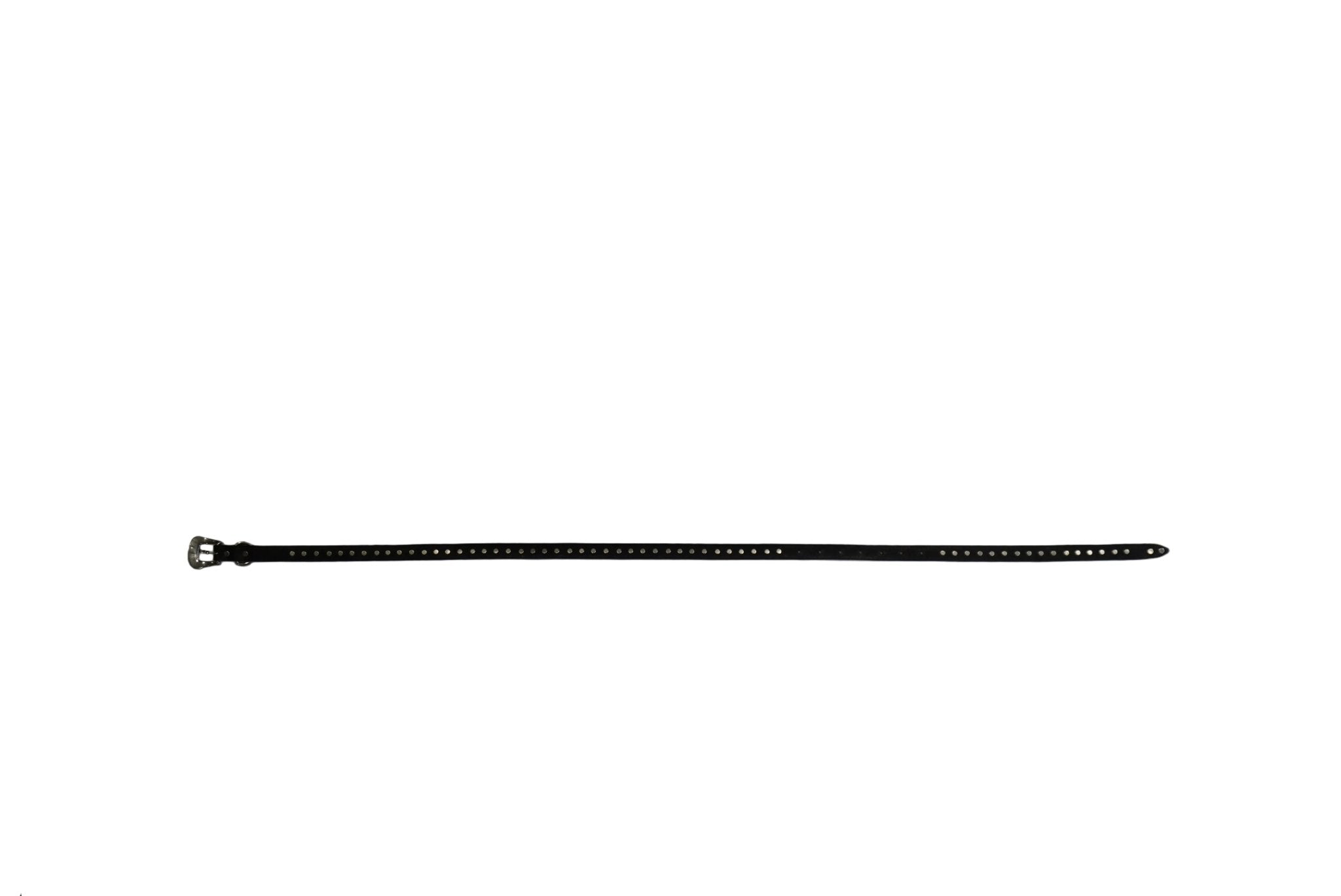 [Scye] Cow Leather Studs Belt - apartir Online Store アパルティール セレクトショップ